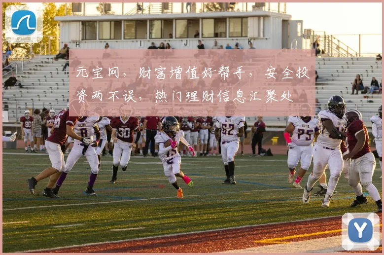 元宝网，财富增值好帮手，安全投资两不误，热门理财信息汇聚处