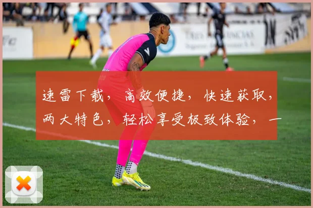 速雷下载，高效便捷，快速获取，两大特色，轻松享受极致体验，一网打尽